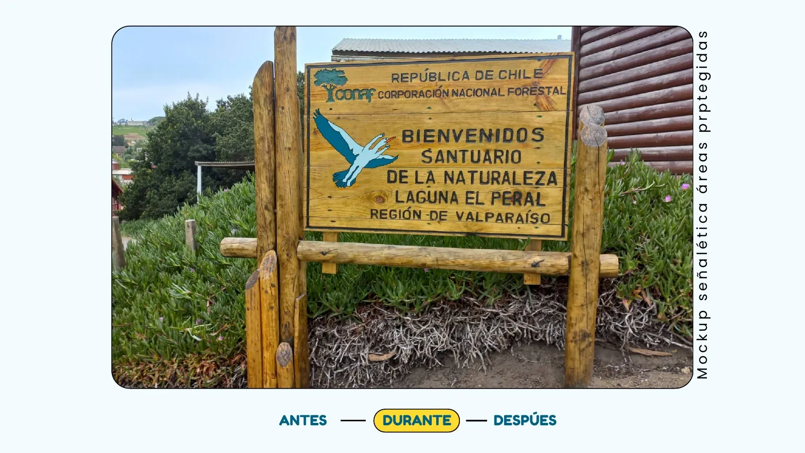 TODO-ALT — página 49